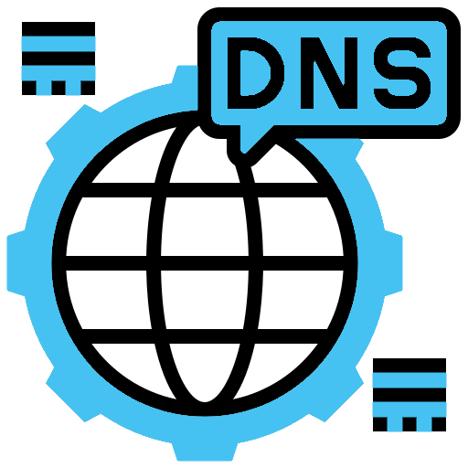 dns